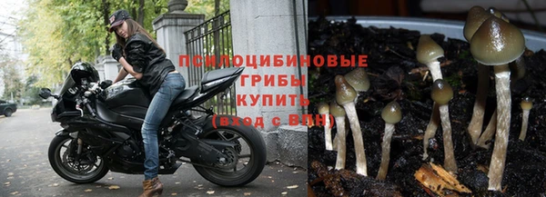 Альфа ПВП Армянск