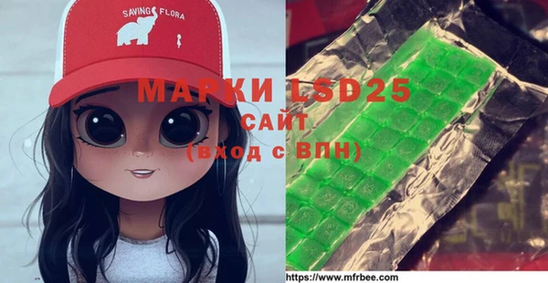 хмурый Алзамай
