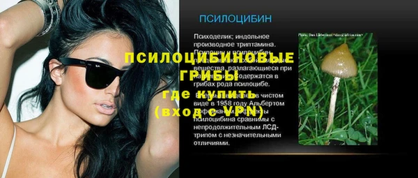 хмурый Алзамай