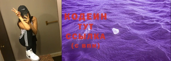 хмурый Алзамай