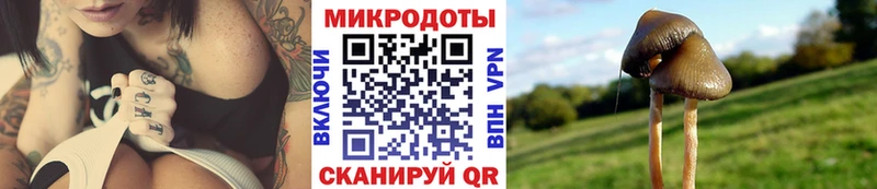 Галлюциногенные грибы мухоморы  Болгар 